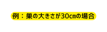 例 巣の大きさが30 の場合