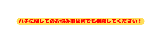 ハチに関してのお悩み事は何でも相談してください